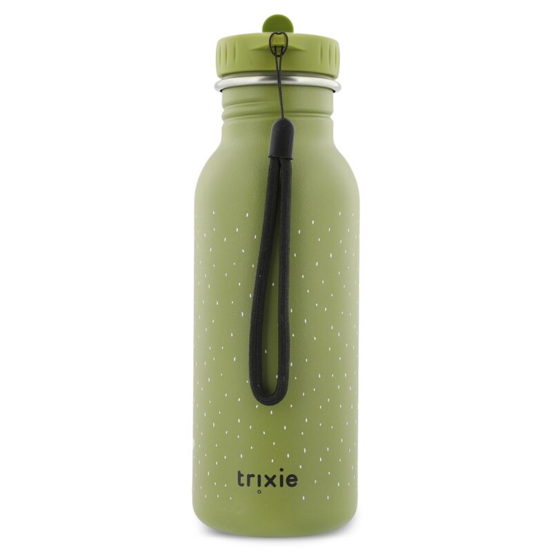 Edelstahlflasche 500 ml – Mr. Dino – Bild 2