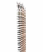 rico design - Bleistift Safari (Zebra) rico design - Bleistift Safari (Zebra)