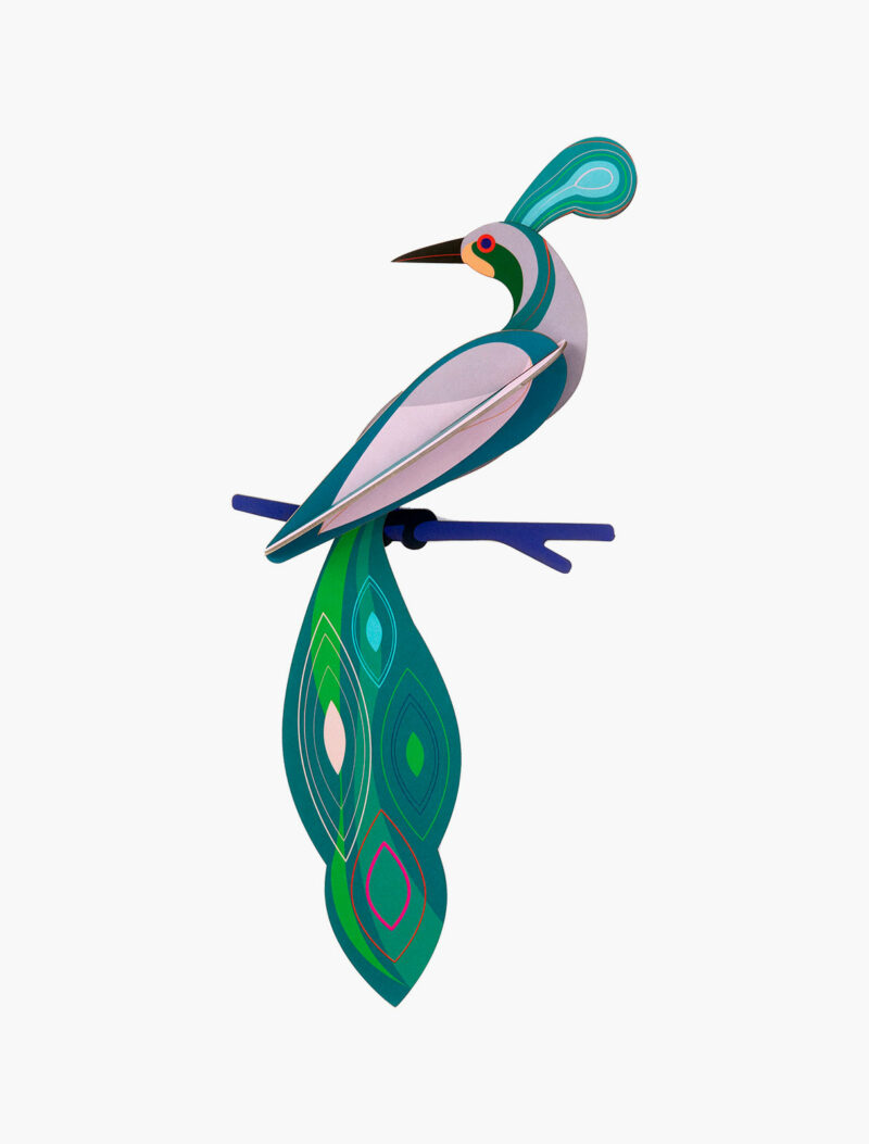 Studio ROOF - Paradise Bird Fiji