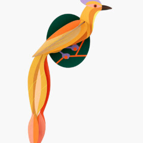 Studio ROOF - Paradise Bird - Olango