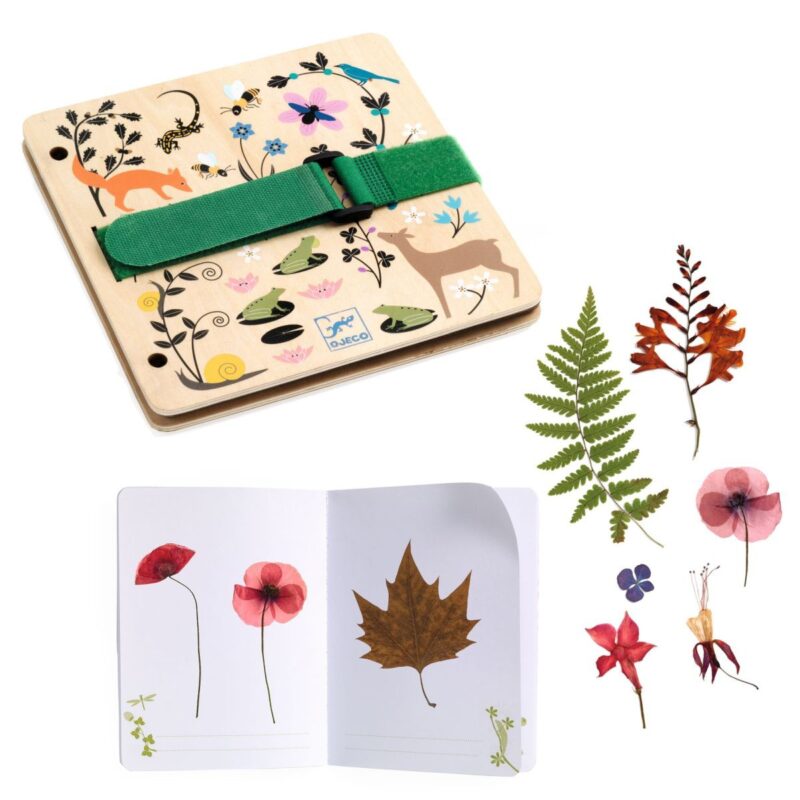 Kreativ-Set "DIY" – Pflanzenpresse & Herbarium – Bild 3