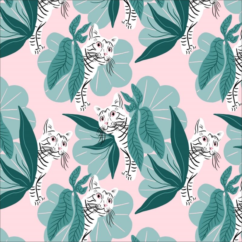 Cloud 9 - Comforts of home - House Cat Jungle Cloud 9 - Comforts of home - House Cat Jungle