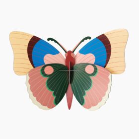 Studio ROOF - cepora butterfly