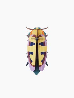 Studio ROOF - mango flower beetle