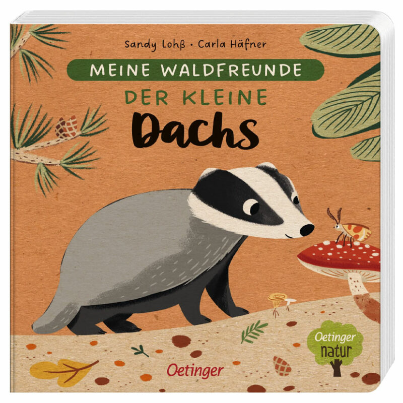 Vierundfünfzig Illustration - Buch Der kleine Dachs