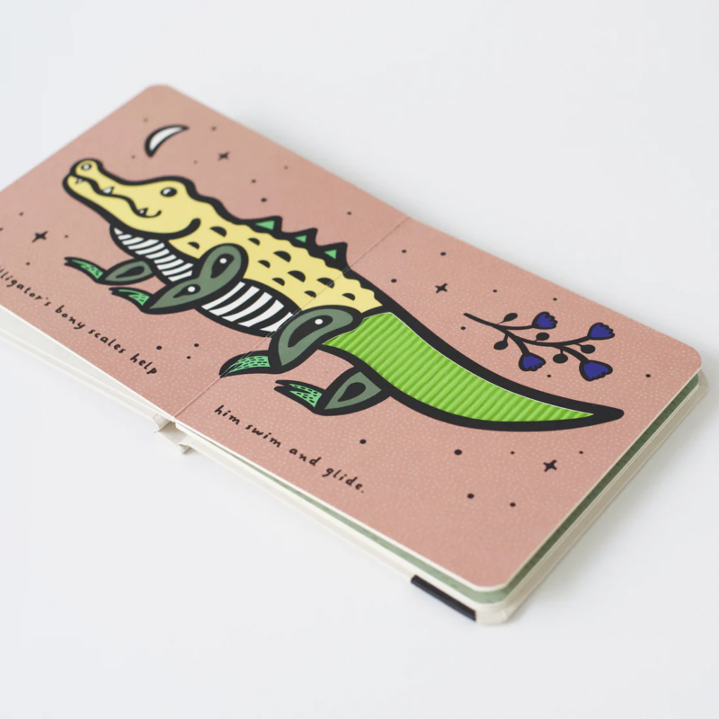 Aktivitätsbuch "Touch and Feel" – Scales – Bild 4