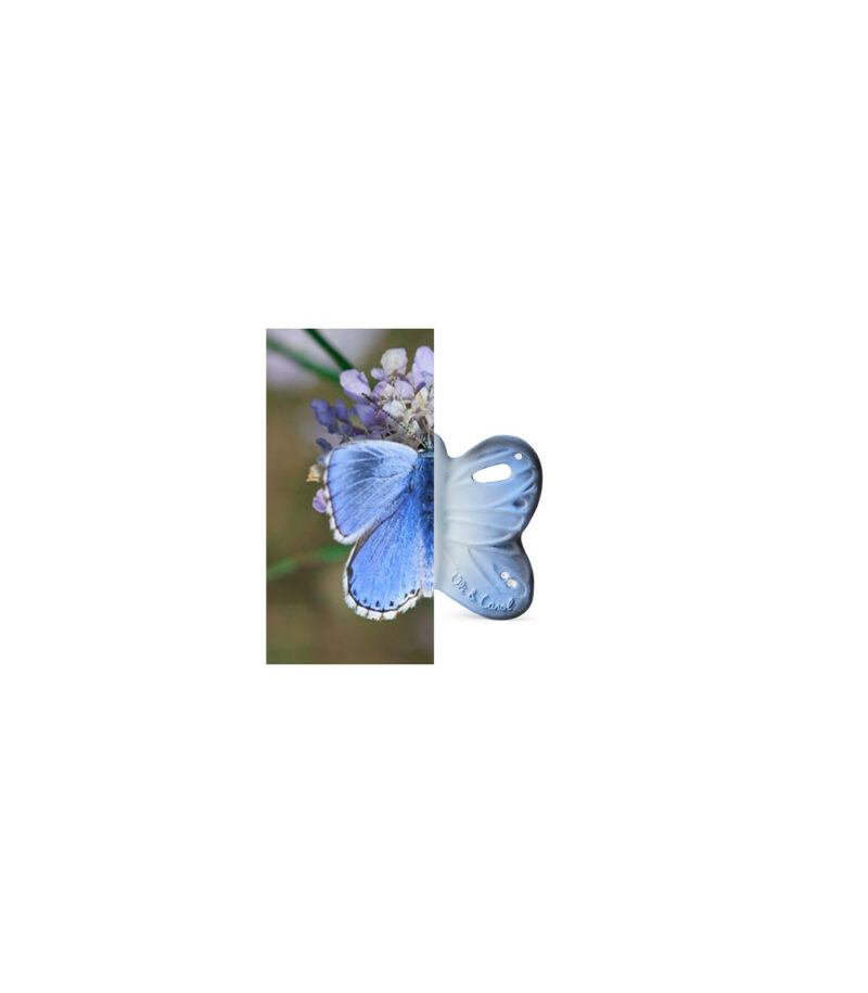 Baby-Spielzeug aus Naturkautschuk "Blues The Butterfly" – Bild 2