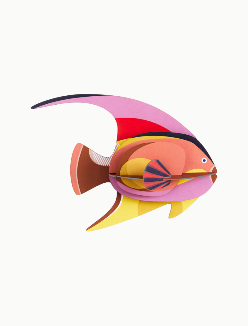 Medium Sea Creature - Blackcap Fish – Bild 3