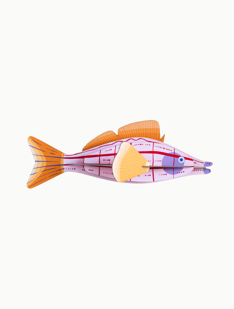 Medium Sea Creature - Longnose Hawkfish – Bild 2