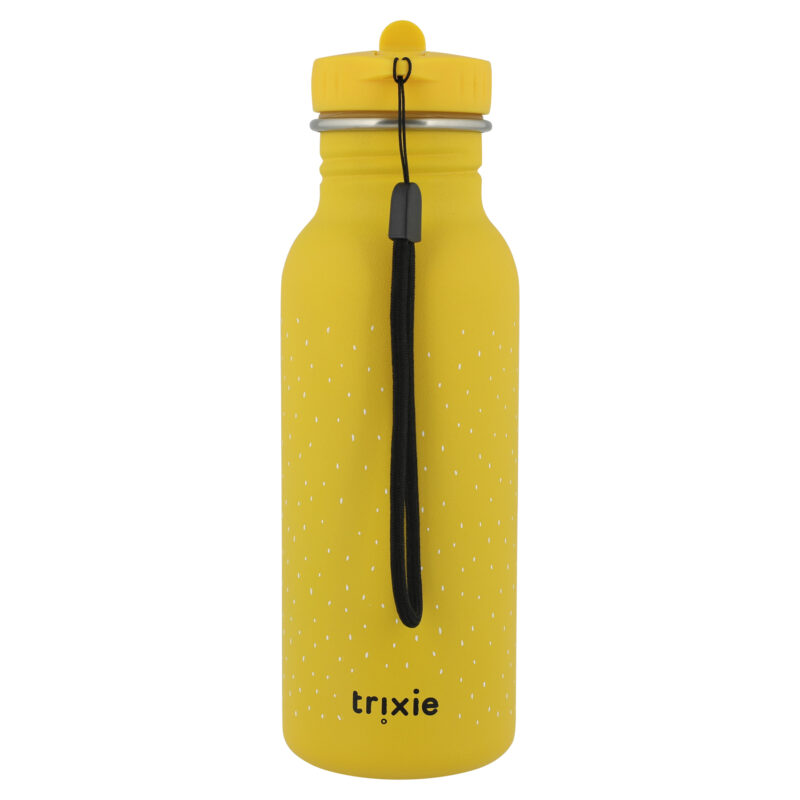 Edelstahlflasche 500ml - Mr.Lion – Bild 2