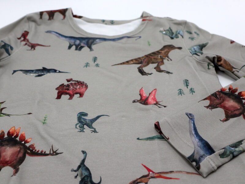 Dino (Canvas) – Bild 4