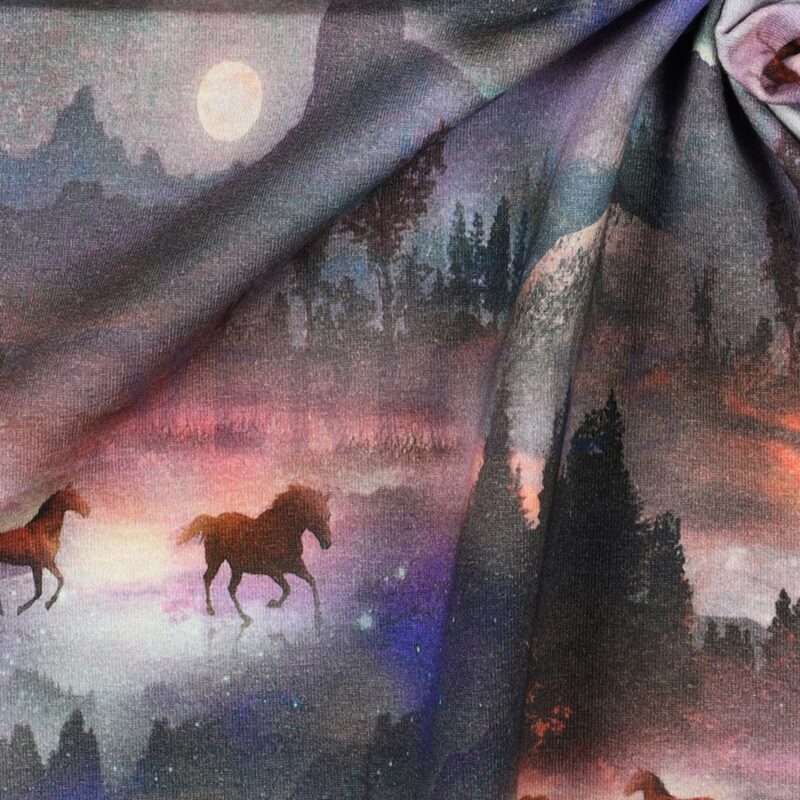 French Terry Digital Mystical Horses – Bild 3