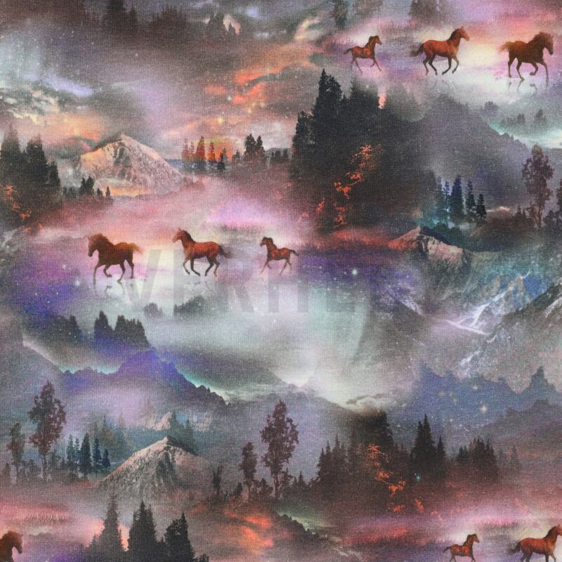 verhees textiles - FRENCH TERRY DIGITAL MYSTICAL HORSES