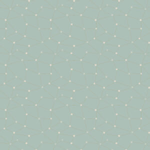 Cotton&Steel Fabrics - Savanna - Starry Night - Look Into The Stars