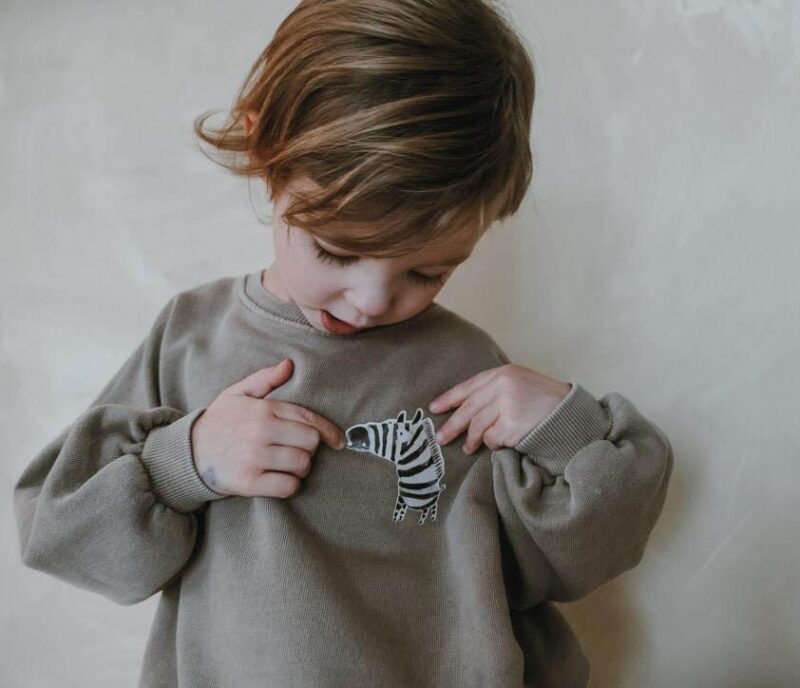 Bügelbild –  Zebra – Bild 3