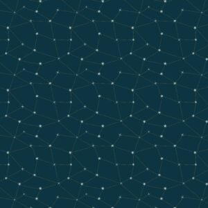 Cotton&Steel Fabrics - Savanna - Starry Night - Under The Stars