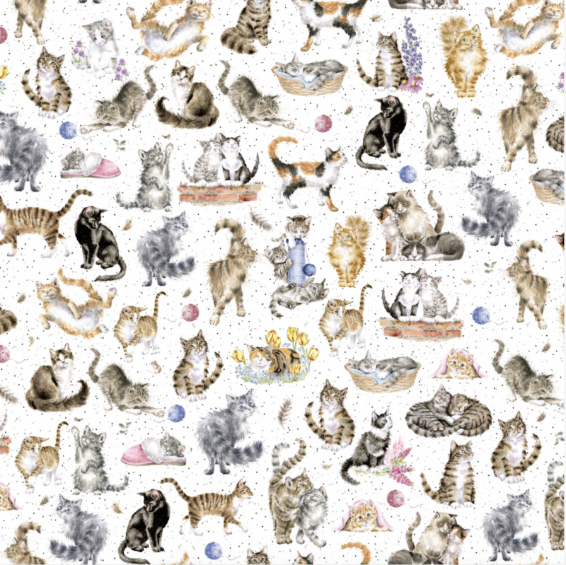 Maywood Studio - Whiskers & Paws - Cats white