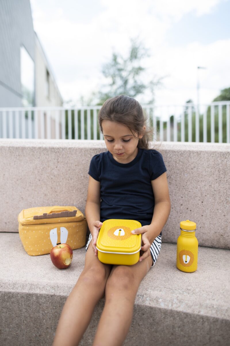 Kleine Brotdose "Lunchbox aus Edelstahl"– Mr. Lion – Bild 4
