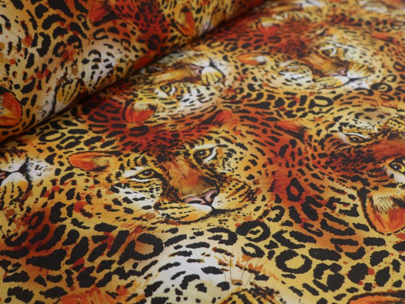 Dig. Dr. Leopard – Bild 2