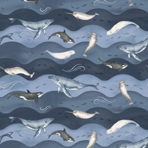 Studio E - Polar Plungers - Whales and Waves