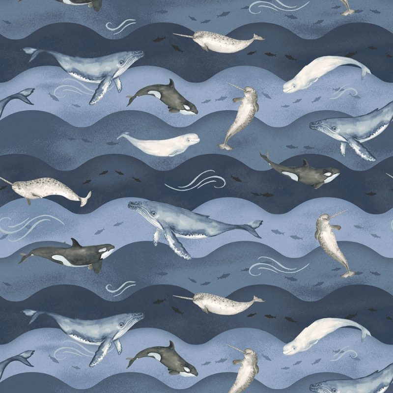 Studio E - Polar Plungers - Whales and Waves