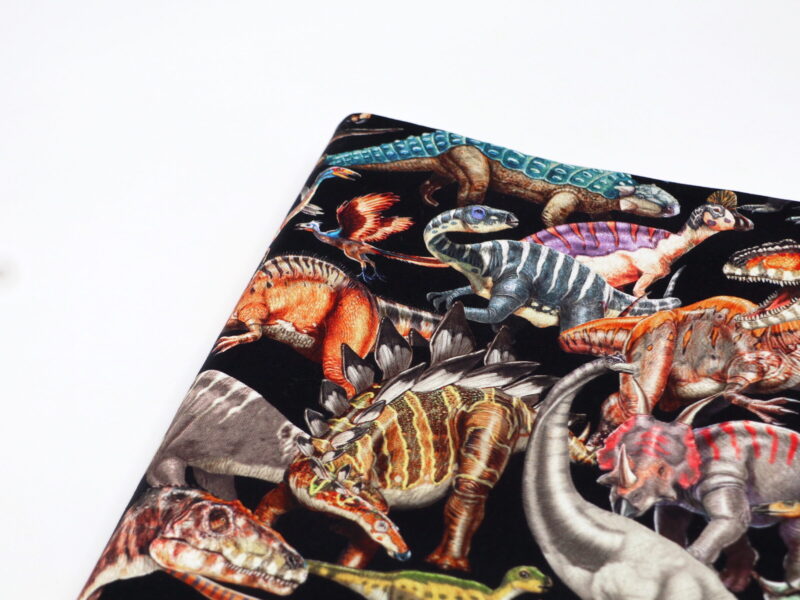 Personalisierte Zeugnismappe "Dinos" – Bild 4