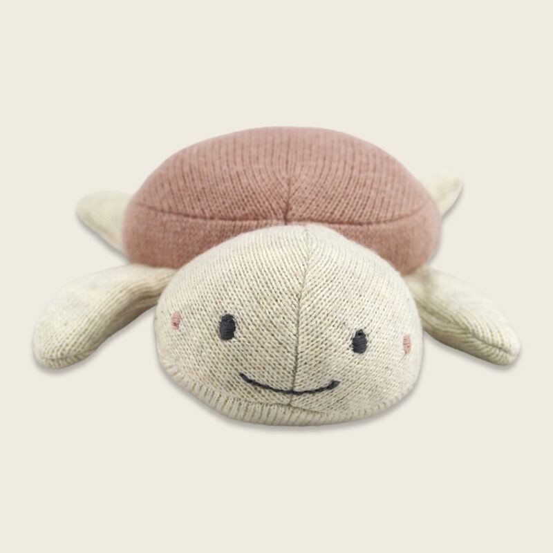 Babyrassel Schildkröte – Rose – Bild 2