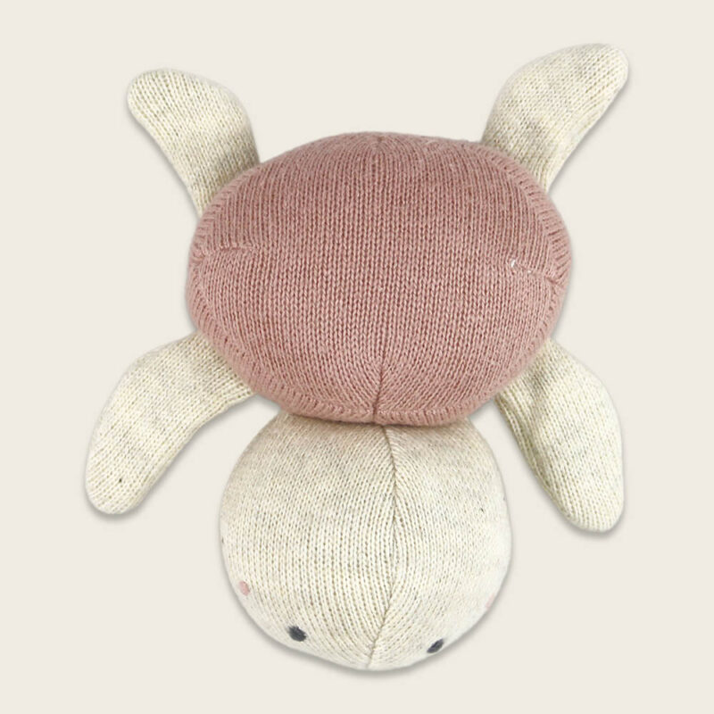 Babyrassel Schildkröte – Rose – Bild 3