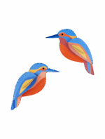 studio roof - kingfishers