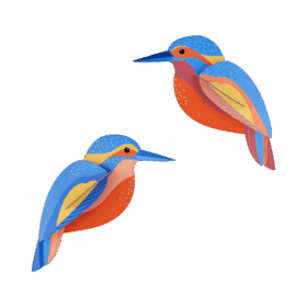 studio roof - kingfishers