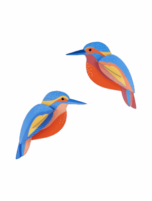 studio roof - kingfishers