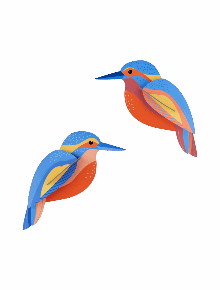 studio roof - kingfishers