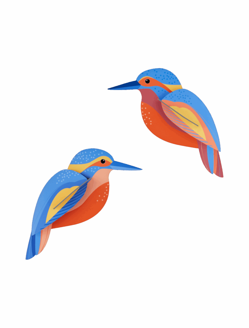 studio roof - kingfishers