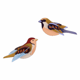 Studio ROOF - Sparrows