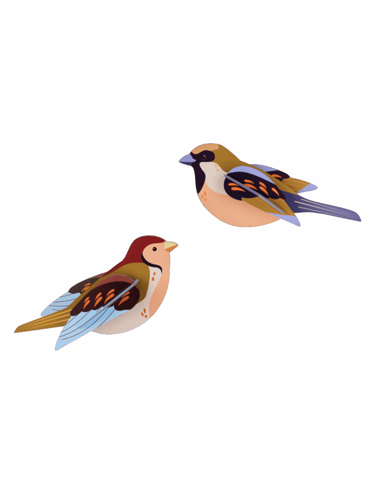 Studio ROOF - Sparrows