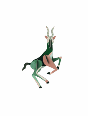 Studio ROOF - Wild Animals - Antelope