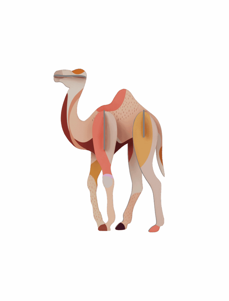 Studio ROOF - Wild Animals - Camel