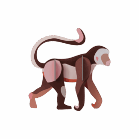 Studio ROOF - Wild Animals - Monkey