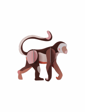Studio ROOF - Wild Animals - Monkey