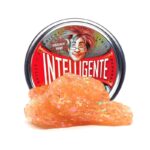 Intelligente Knete - Intelligente Knete (Drachenhaut)