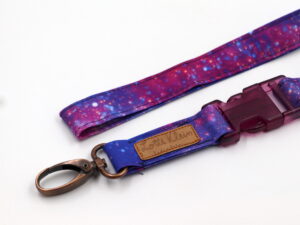 Schlüsselband  " The Hidden Universe"