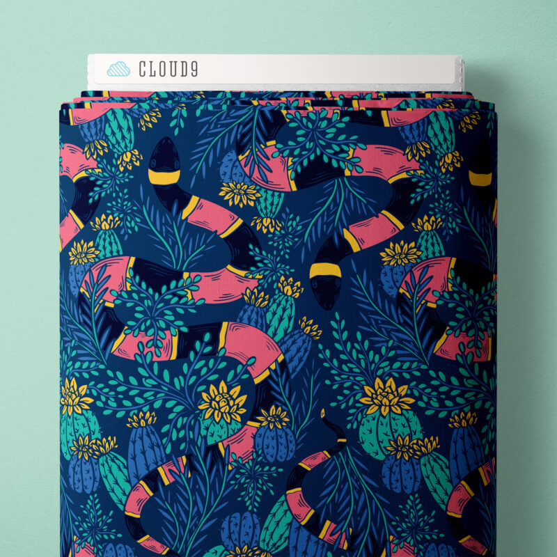 Cloud 9 - Desert Dance - Snakes underfoot