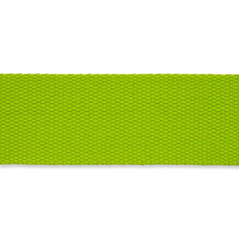 PRYM - Taschengurtband 40mm (mittelgrün) PRYM - Taschengurtband 40mm (mittelgrün)